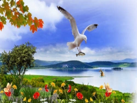 bird - bird, lake, nature, fish