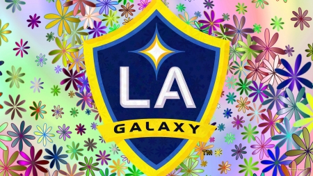 LA Galaxy - los angeles galaxy, mls, american, soccer, logo, sport, la galaxy, football, emblem, club