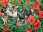 Cats in Hibiscus bush