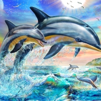 Dolphins