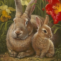 Bunnies