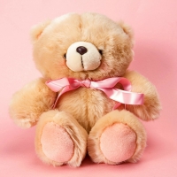 CUTE TEDDY