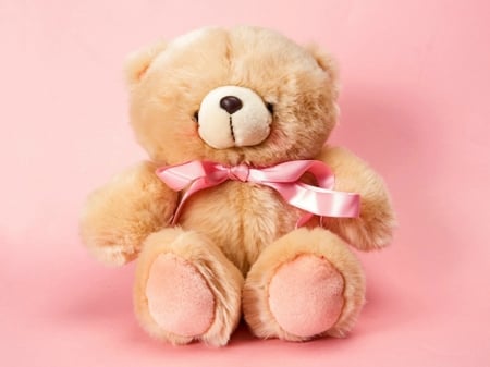 CUTE TEDDY