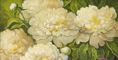 White peonies - white, art, peony, yana movchan, flower