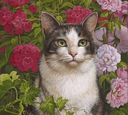 Masha in the Phlox - yana movchan, pisici, flower, art, cat, phlox