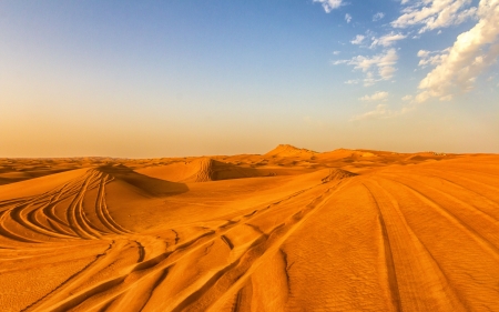 Morning Desert - morning, sky, landscape, dune, desert, sand