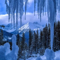 Winter at Jasper National Park in Canada