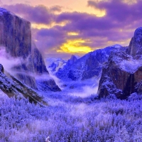 Frozen Yosemite National Park
