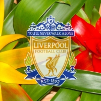 Liverpool F.C.