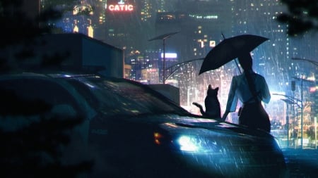 :) - rain, black, silhouette, cat, girl, umbrella, off duty, blue, fantasy, majewski, car, city, luminos