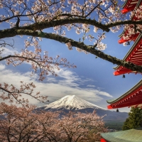 Spring at Japan