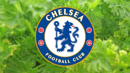 Chelsea F.C. - Chelsea FC, ChelseaFC, Team, Football, Logo, Club, Soccer, chelsea, Sport, Chelsea, Emblem