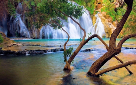 Impressive Waterfall - water, tree, tropical, cascades