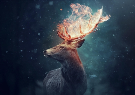 The deer - cerb, blue, orange, horns, fantasy, fire, deer, kryseis art, luminos