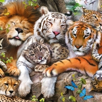 Big cats
