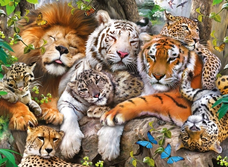 Big cats