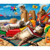 Cats on the beach