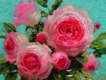 Pink roses