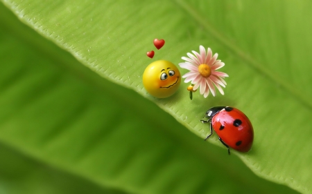 * - Leaf, Green, Smile, Sheet, Bettle