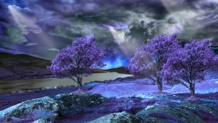 Purple Spring - hdr, spring, trees, purple