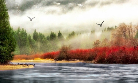 Beauty of Nature - misty, river, trees, outdoors, Nature, scenic, peaveful, mountains