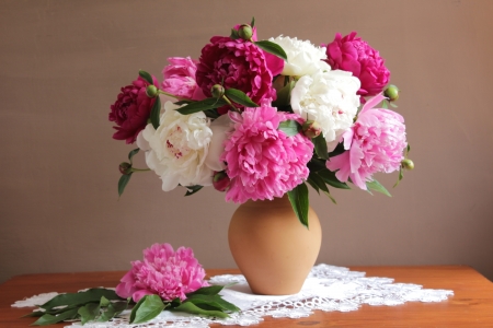 Peonies - vase, peony, white, flower, pink, bujor