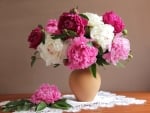 Peonies