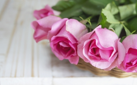 Roses - rose, mother, card, flower, pink, day