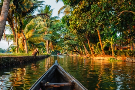 Tropical River - palms, water, reflection, boat