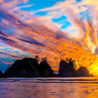 Shi Shi Beach Washington