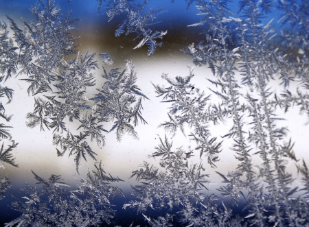 Frost  - white, nature, pretty, cold, glass, frost, blue, winter