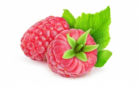 Raspberries - white, raspberry, green, berry, fruit, pink