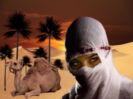 woman - portrait - desert - camels, desert, sunset, palm