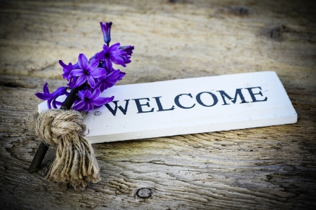 ♥ - hyacinth, abstract, flower, welcome