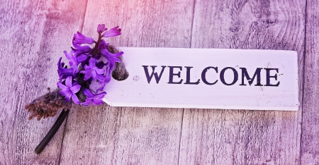 â™¥ - abstract, flower, hyacinth, welcome