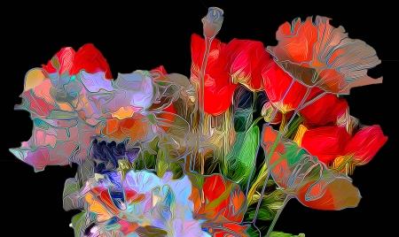 Beautiful Flowers - flowers, poppies, lined, petals