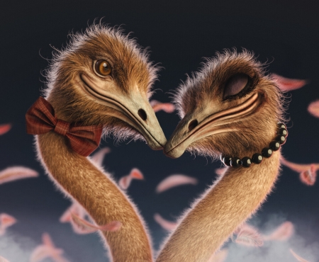 Love is in the air - bird, aluta roma, love, petals, pink, pasari, ostrich, fantasy, valentine, bow, couple, luminos