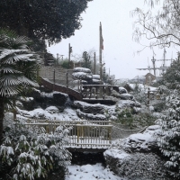 paysage sous la neige