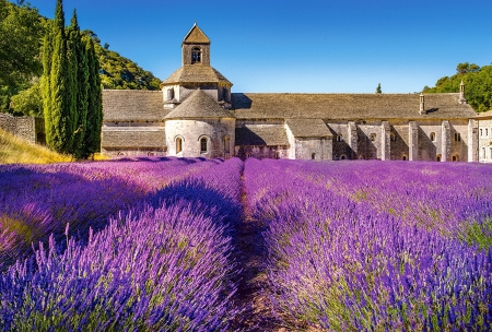 Provence, France - purple, building, castle, field, lavender