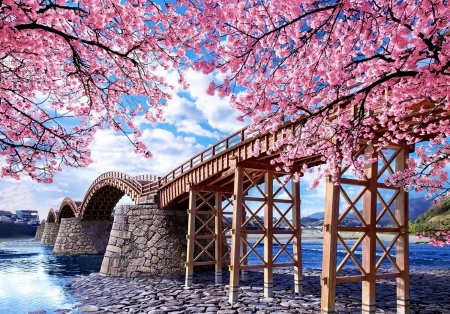 Bridge in Spring - river, blossoms, tree, cherry