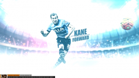 Harry Kane - harry kane, tottenham hotspur, soccer, football, spurs, tottenham