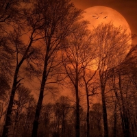 Orange full moon