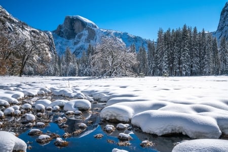 Yosemite Nat'l. Park, California - nature, trees, snow, mountains, usa