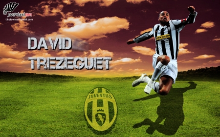 David Trezeguet - french, juventus, david trezeguet, soccer, juve