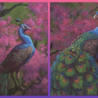 Peacocks