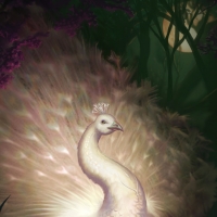 Sacred peacock