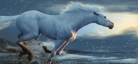 Running horse - winter, running, blue, ben judd, cal, horse, fantasy, white, iarna, luminos