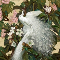 White peacocks