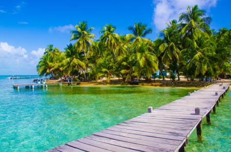 Island - beach, palm trees, tropic, bridge, sea