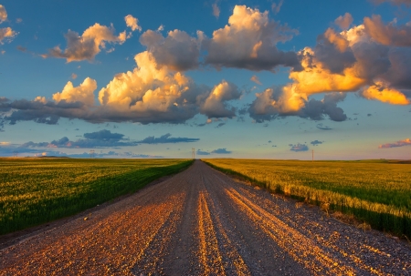 country road - nature, photo, road, country